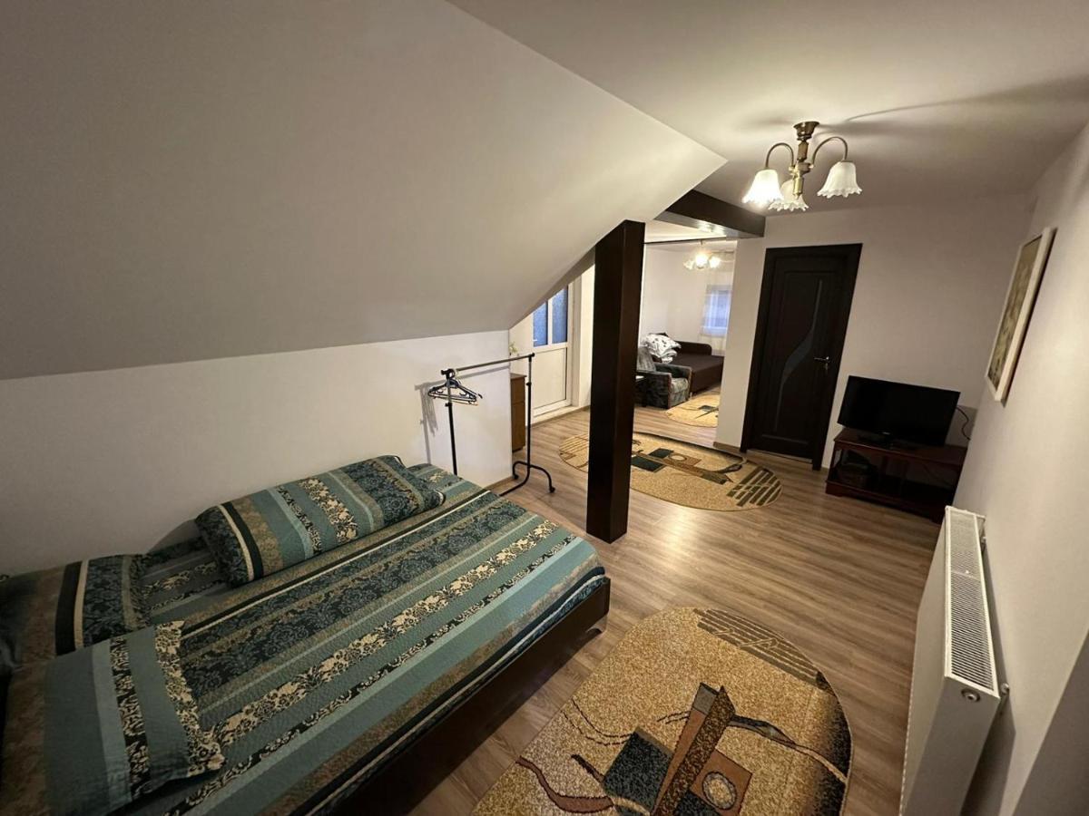 Casa De Vacanta Mirela Novaci-Străini Extérieur photo
