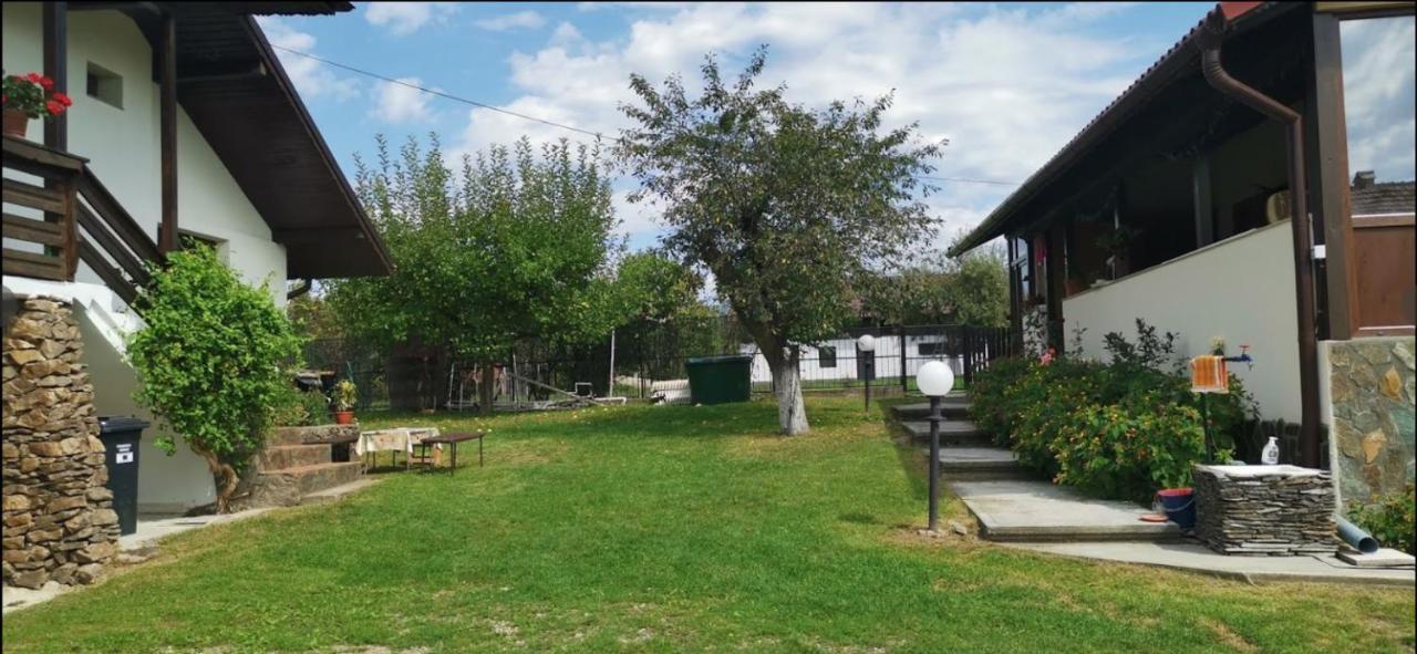 Casa De Vacanta Mirela Novaci-Străini Extérieur photo