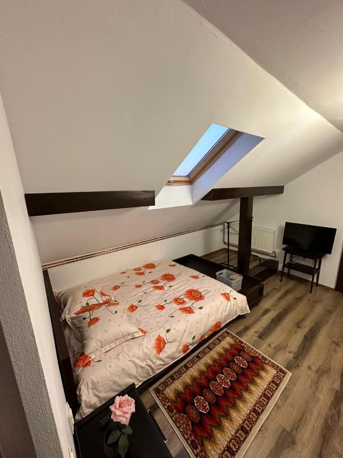 Casa De Vacanta Mirela Novaci-Străini Extérieur photo