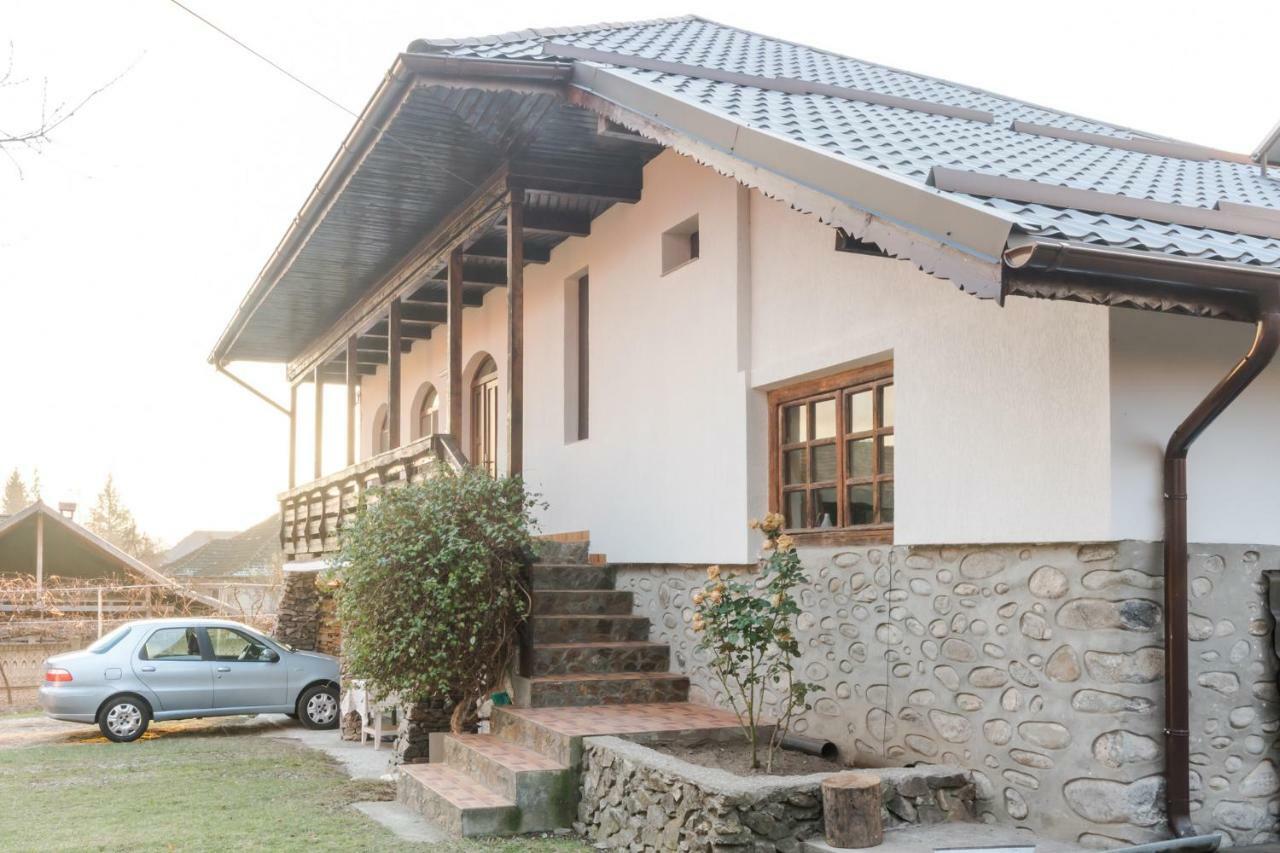 Casa De Vacanta Mirela Novaci-Străini Extérieur photo